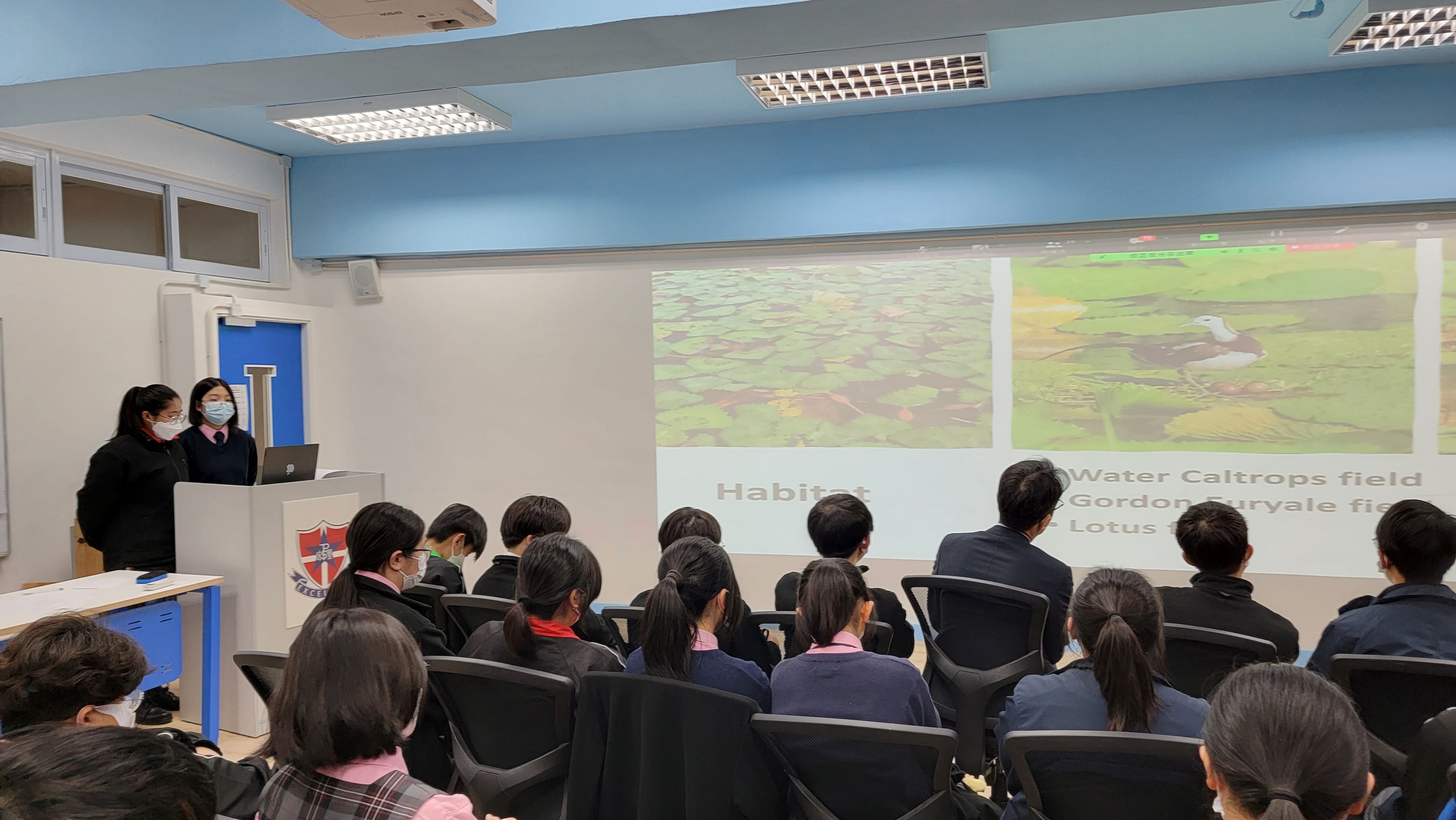 Birds and Schools Presentation