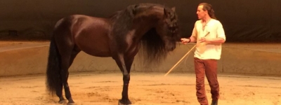 Cavalia 馬術表演