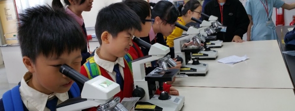 20151204- 天水圍天主教小學參觀與全港小學數學挑戰賽