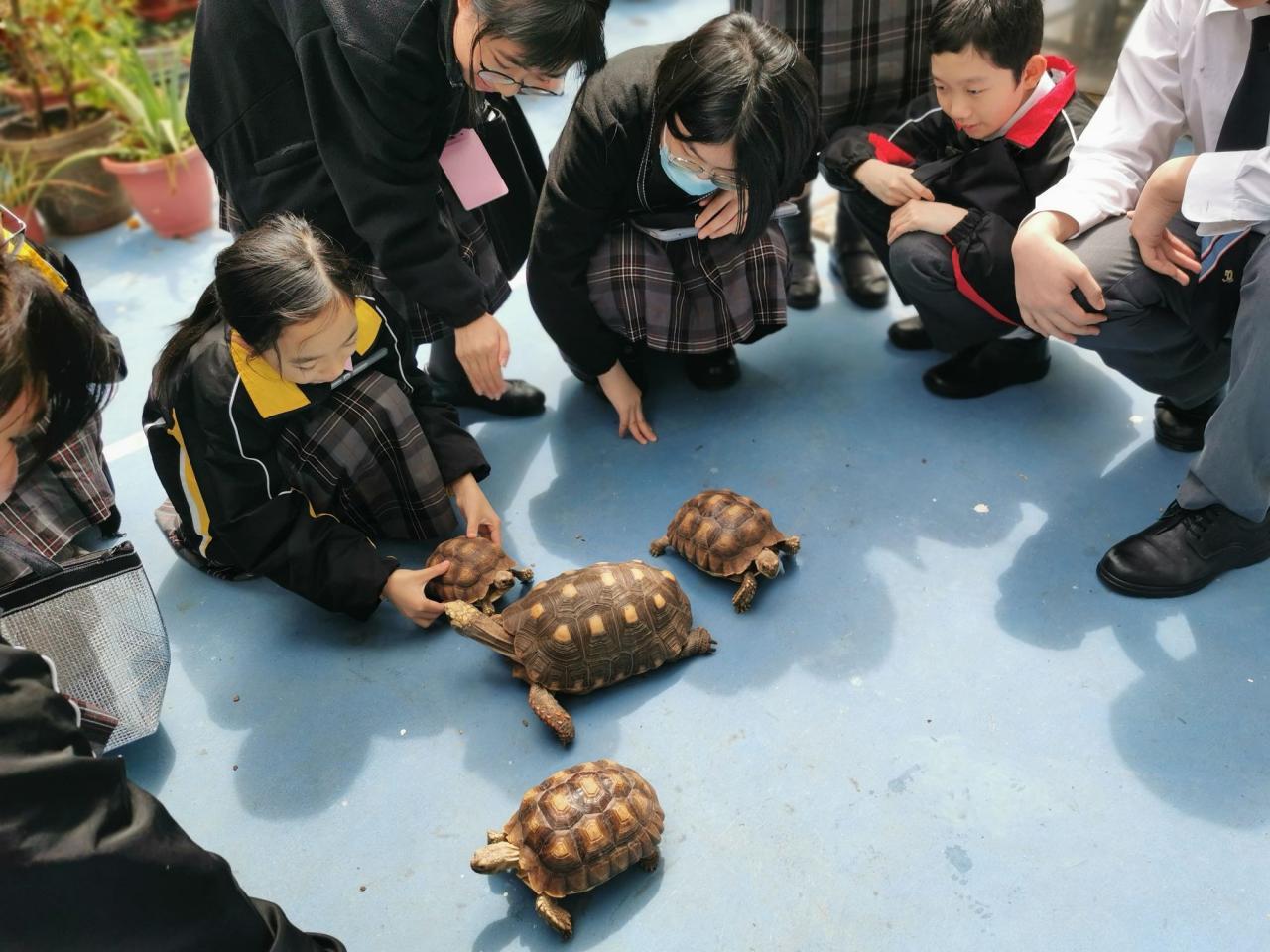 學生與龜龜的互動