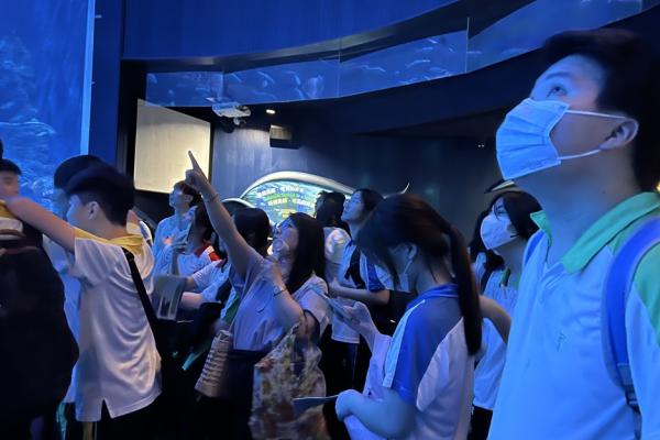 Learning outside the Classroom