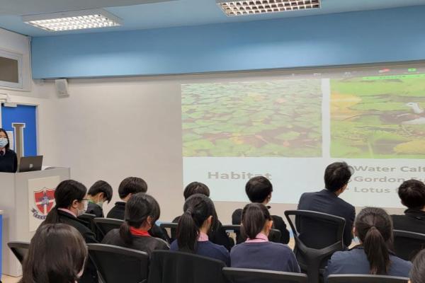 Birds and Schools --- Presentation