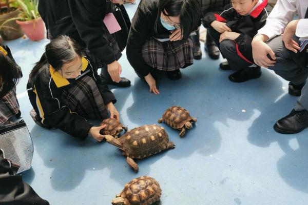 學生與龜龜的互動